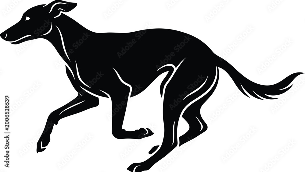 Fototapeta premium Black silhouette of a running greyhound dog in motion for design and illustration