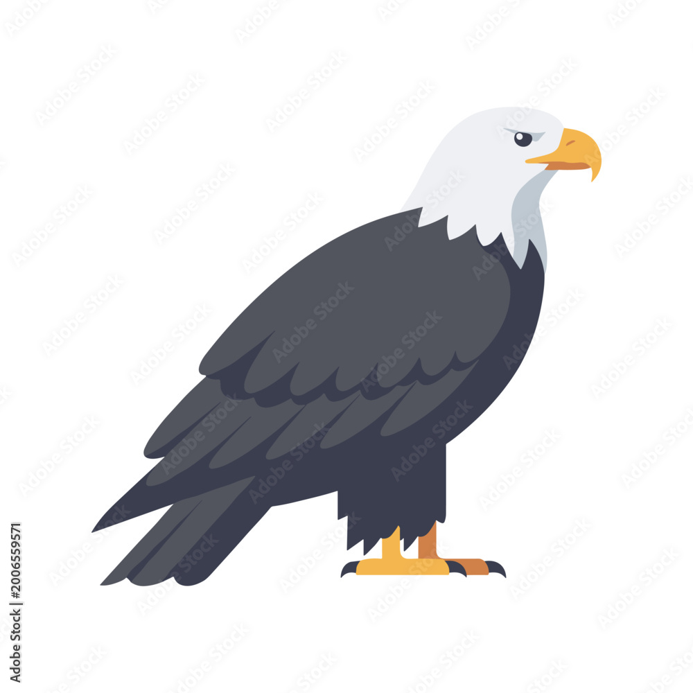 Obraz premium Bald eagle illustration with white head, dark feathers, and sharp yellow beak, shown in side view on isolated background in flat vector style