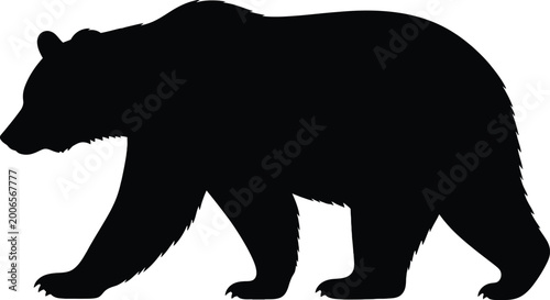 Black silhouette of grizzly bear walking profile view on transparent background vector illustration.
