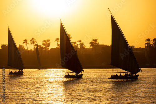 Canvastavla Traditional Egyptian felucca sailboats sailing on the Nile River at sunset with palm trees and city skyline in the background, Luxor, Egypt
