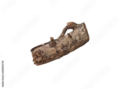 Foto Small Dry Tree Log Branch