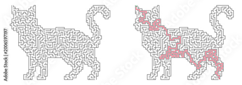 Φωτογραφία Cat shaped maze with solution