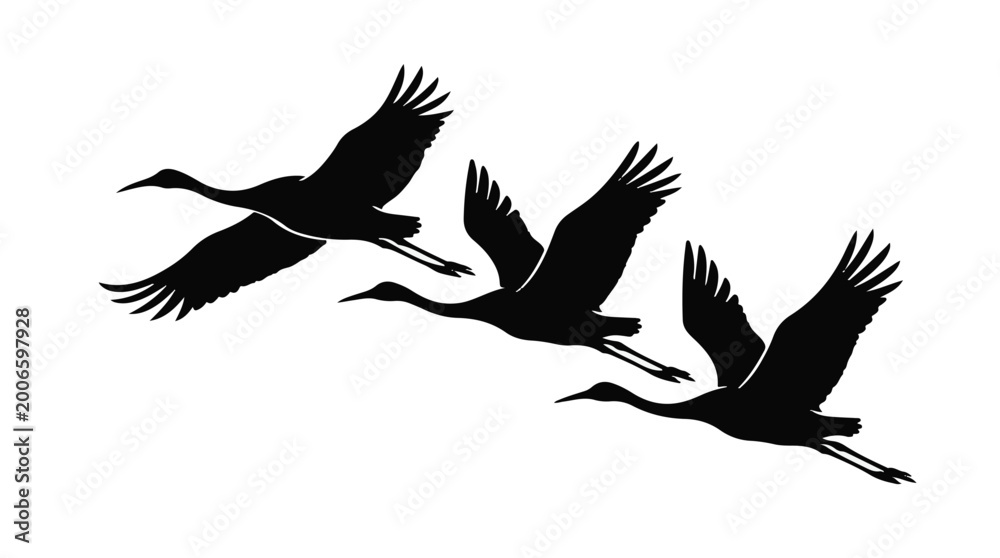 Fototapeta premium Three black cranes flying in formation against white background, wildlife, birds, nature, conservation, symbol, icon, illustration