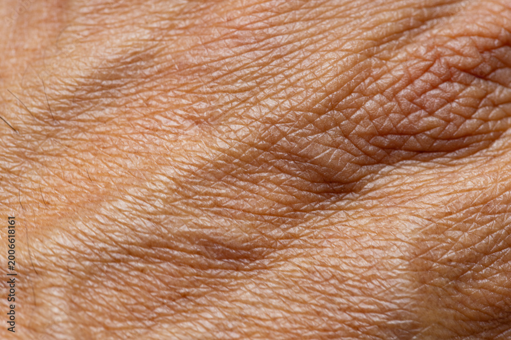 Fototapeta premium Extreme Macro Texture of Human Skin Surface,High-detail macro shot showing the complex texture, High-detail macro shot showing the complex texture, pores, and natural patterns of human skin, highlight