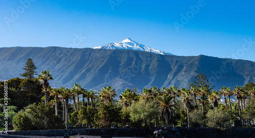 Walking in parks of Puerto de la Cruz, Tenerife North, tropical trees, green bushes, beach, Teide view, local architecture, tourists destination, Spain