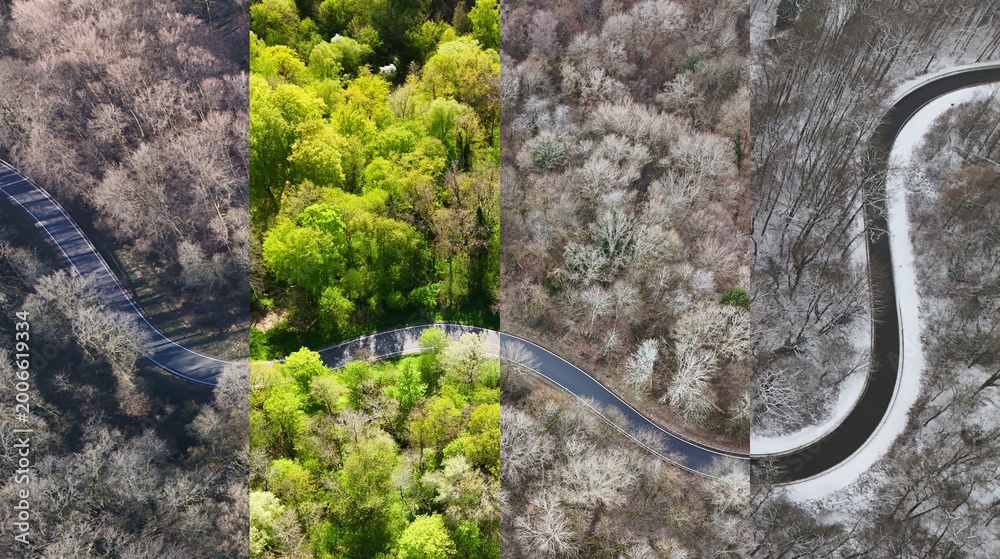 Obraz premium Winding Forest Road Through Changing Seasons – Aerial Perspective