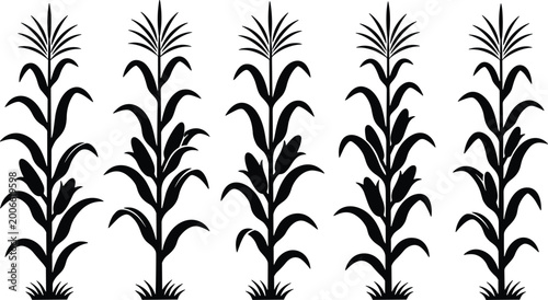 Foto Set of black corn stalk silhouettes isolated on white background for agriculture