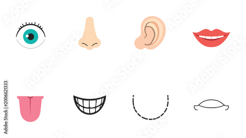 фотографія Senses in Focus: A colorful array of illustrations depicts the human senses, including an eye, nose, ear, mouth, and tongue