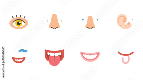 Bild auf Leinwand Sensory Delights: A whimsical ensemble of illustrated facial features showcasing the wonders of human sensory perception