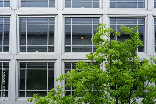 фотографія Modern office building facade with green tree branches and orange triangular sig
