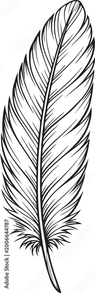 Obraz premium Crow feather drawing. This black and white outline depicts a single crow feather