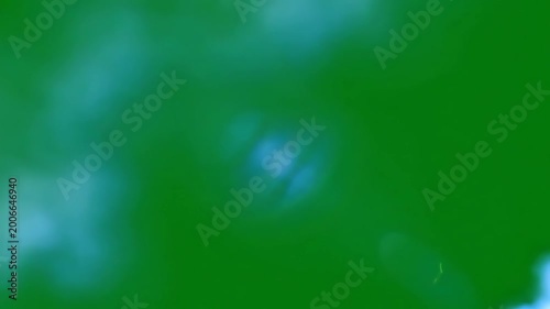 Blurry green background with white spots.
