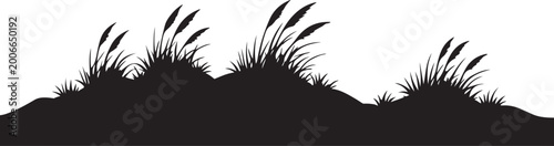 Foto Coastal sand dunes silhouette with tall beach grass and mounds silhouette vector