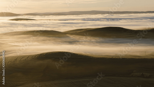 Misty morning landscape with soft golden sunrise light, rolling hills and gentle fog, cinematic lighting, ultra realistic, no people