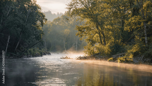 River flowing through forest in early morning light, soft haze, calming nature scene, no people