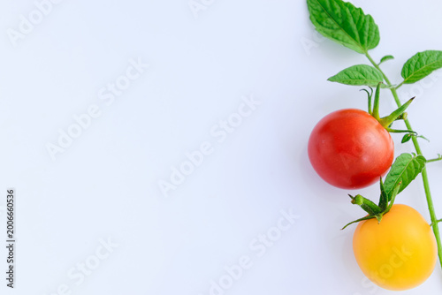 Fresh Cherry Tomatoes and Leaves with Copy Space Healthy Food Concept