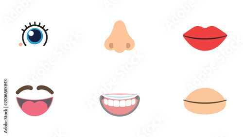 Φωτογραφία Anatomy elements in collection: A series of animated and illustrative facial features, including the eye, nose, lips, mouth, teeth, and cheek