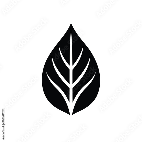Minimalist black leaf icon with clear vein structure, representing nature and growth.