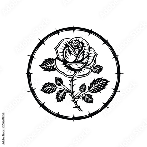 Rose with thorns surrounded by barbed wire, symbolizing delicate beauty protected by danger.