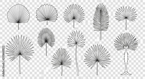 Schilderij op canvas Black and white dandelion flower illustrations.