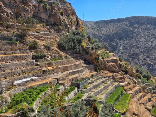 Canvastavla Green terraces in Oman