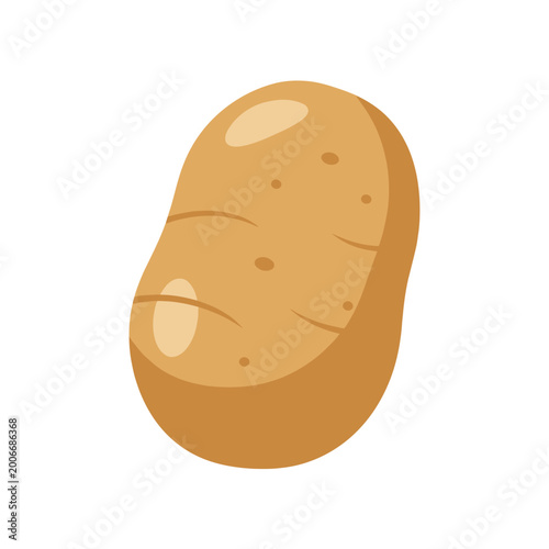 A single brown potato isolated.