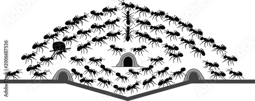 Bild auf Leinwand Black Ant Colony Swarming Over Large Anthill Mound with Underground Tunnel Entra