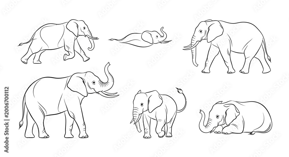 Obraz premium Elephant set, hand-drawn collection of African elephant poses for design