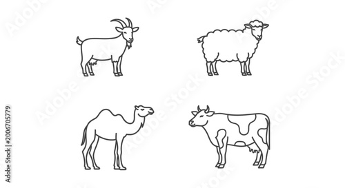 Foto Goat sheep cow and camel animals.