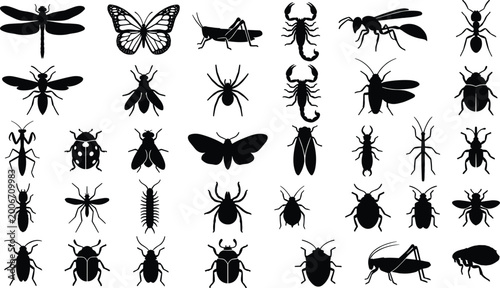 Quadro em tela Silhouettes of Various Insects, Including Dragonflies, Butterflies, Ants, and Sc