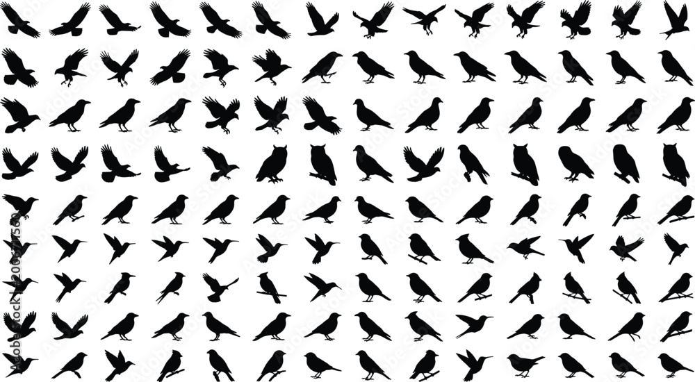 Fototapeta premium Bird Silhouette Collection with Flying Perching and Landing Poses Isolated Wildlife Vector Set