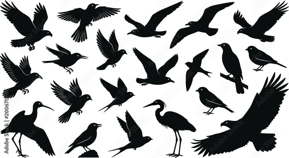 Fototapeta premium Flying and Perching Bird Silhouette Set with Various Wildlife Species in Dynamic Wing Positions