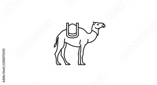 Fotografie Camel with saddle standing alone.