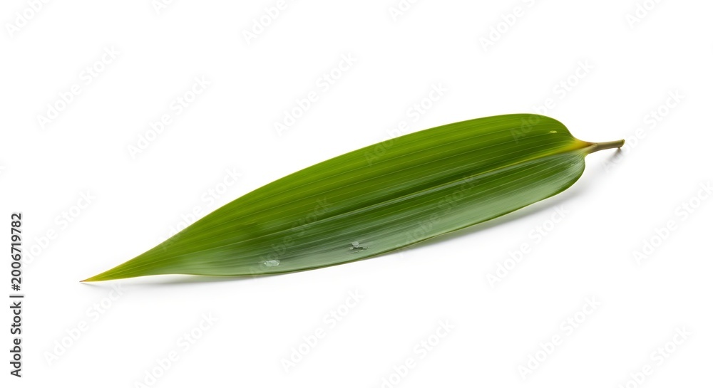 Fototapeta premium isolated bamboo leaf on white background