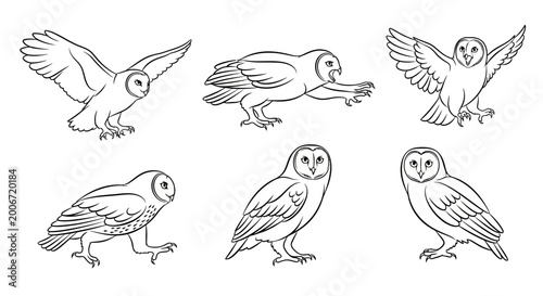 Barn Owl Set, Hand Drawn Vector Illustrations of Flying Owls