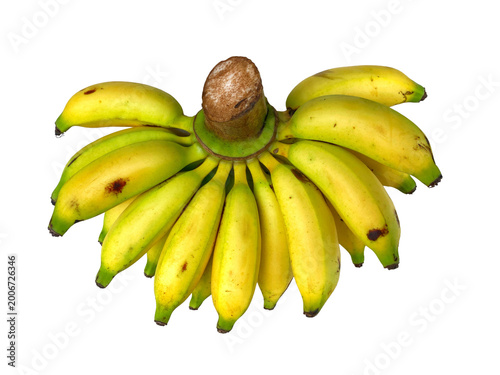 bunch of bananas