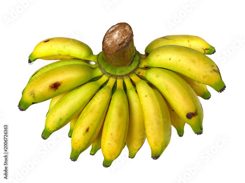 bunch of bananas