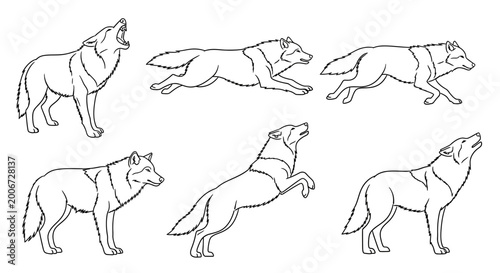 Wolf line art set, collection of sketches for artistic design