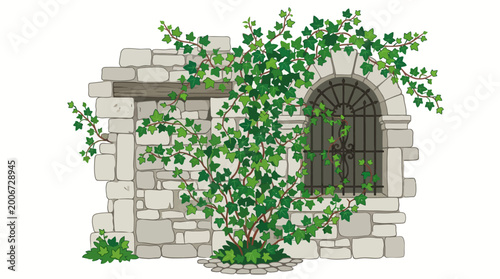 Green Plant Growing Up Stone Wall.