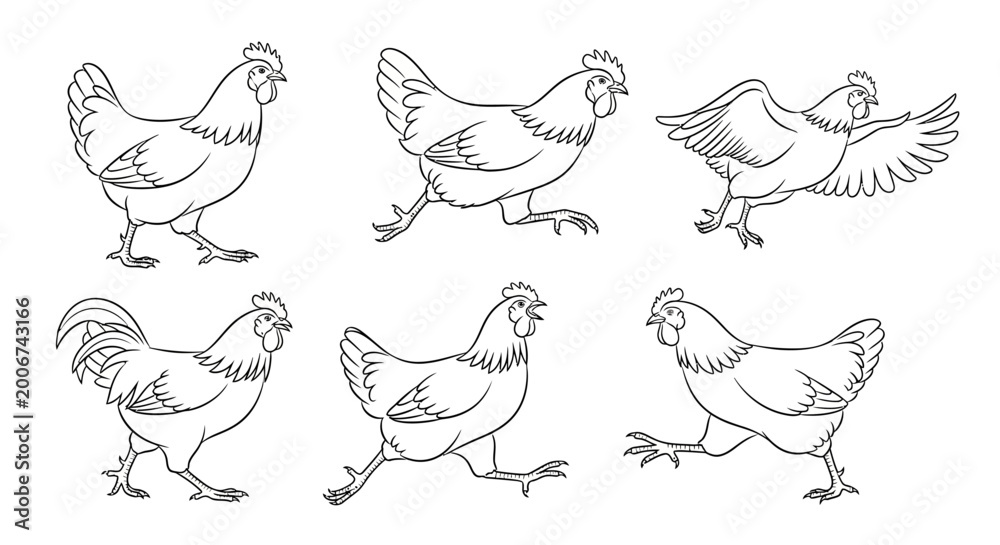 Obraz premium Chicken set, hand drawn sketches of farm birds in motion