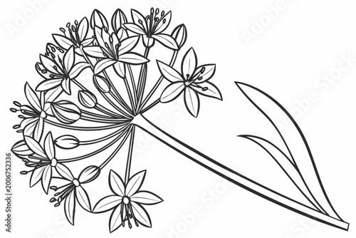 coloring page line art the bell flower black vector