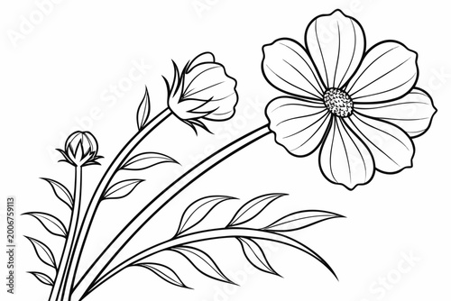 coloring page line art the cosmos flower black vector