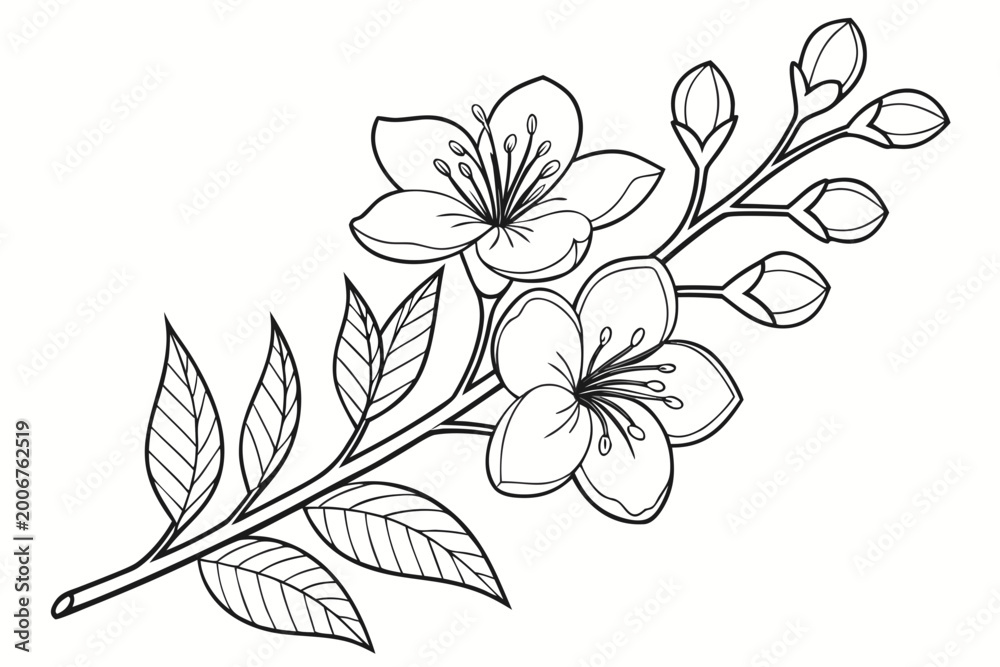 Obraz premium coloring page line art the gardenia flower black vector