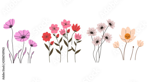 flower vector set