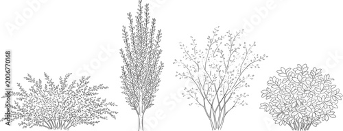 Diverse botanical illustration set featuring a variety of garden shrubs and outdoor flora, showcasing different plant species in detailed line art collection