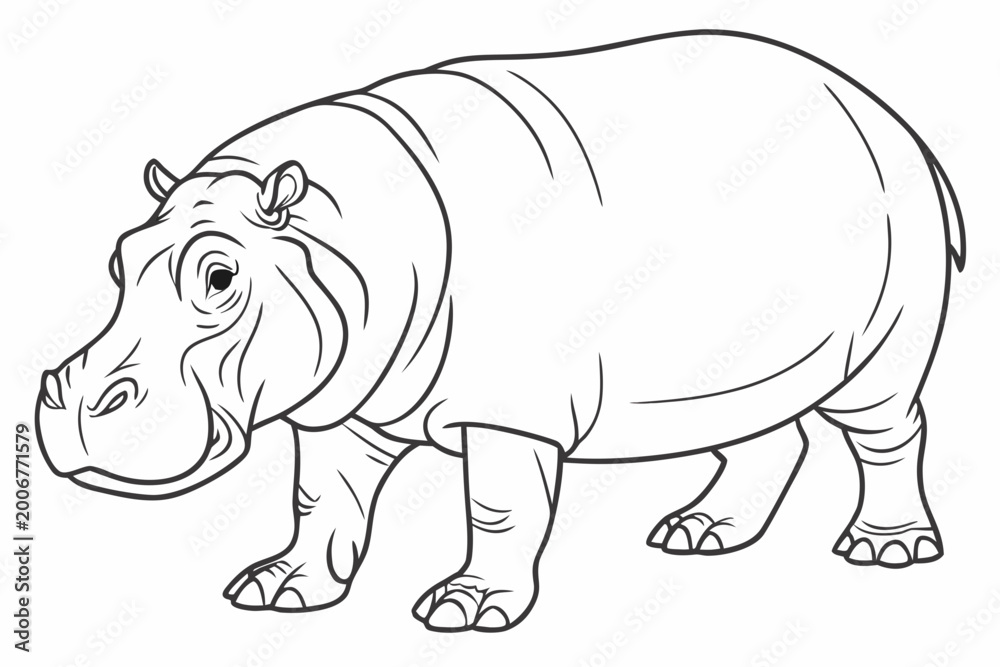 Obraz premium coloring page line art the hippopotamus black vector