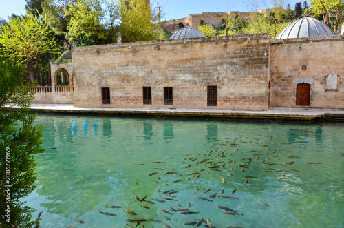 Sacred fish pond at Balıklıgöl in Şanlıurfa, Turkey with historic stone architecture