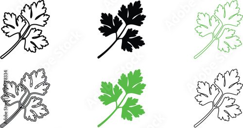 Collection of parsley leaves in various line art and colored styles for design use