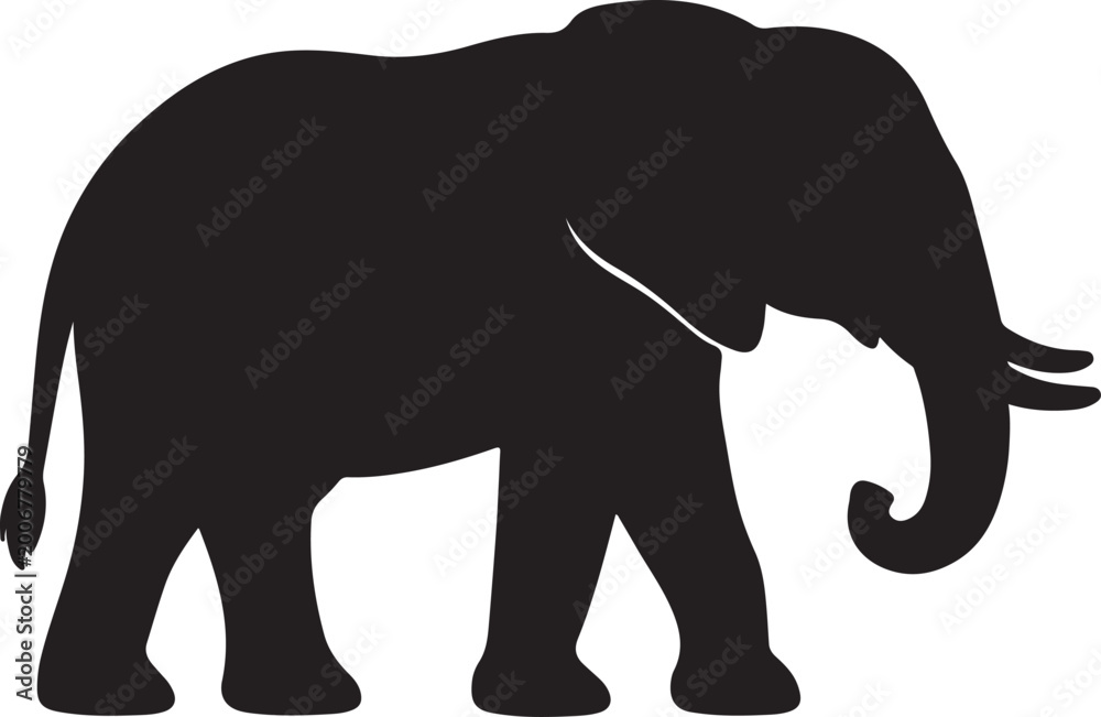 Fototapeta premium elephant isolated on white background