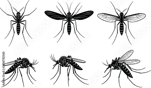 Fotografija Detailed mosquito silhouettes set showing multiple views of flying and resting i